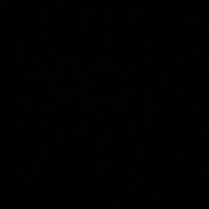 Meet your Posher, Cheyenne